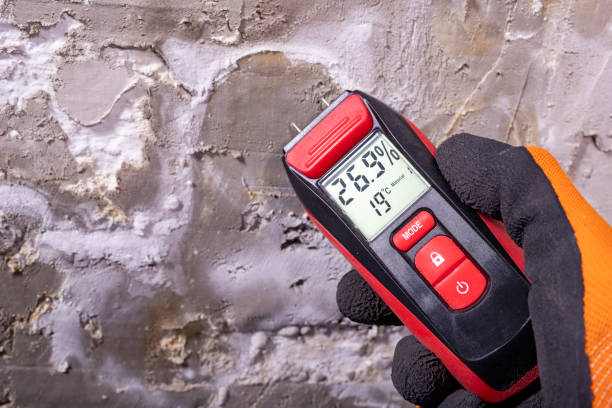 Office Mold Removal Services in Brandon, SD
