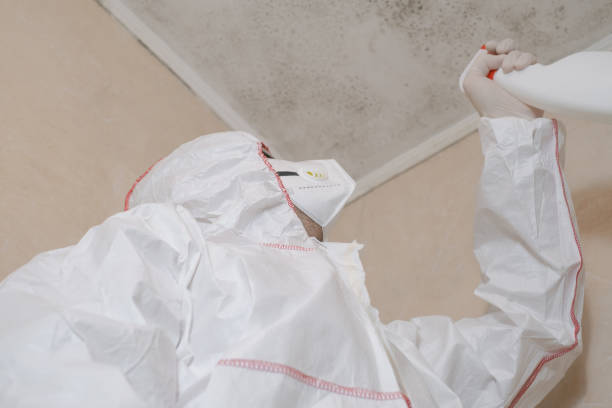 Best Local Mold Removal Service  in Brandon, SD